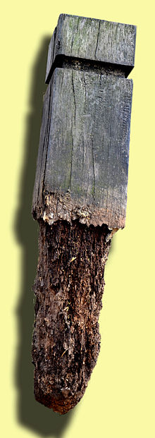 pengawetan agar pagar kayu tahan lama awet