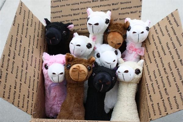 boneka serat alpaca