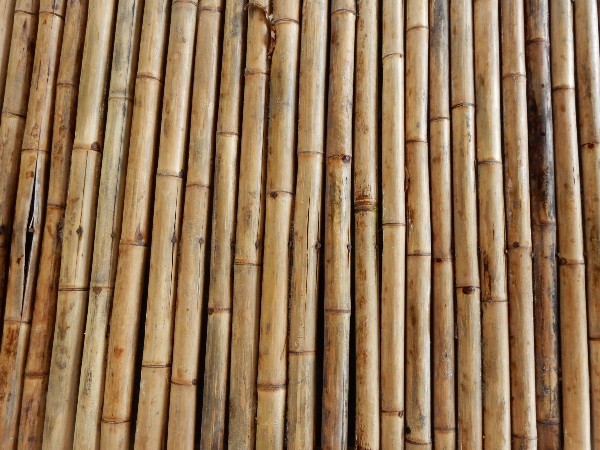 bambu awetan