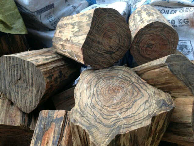 kayu paling mahal agar wood
