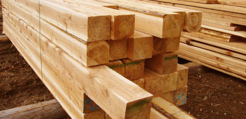 Bahas Lengkap Kayu  Lunak  atau Softwood