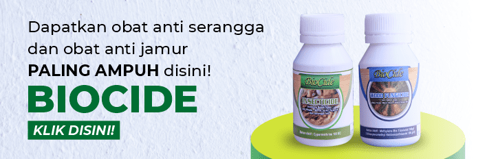 biocide untuk perawatan kayu nyatoh 