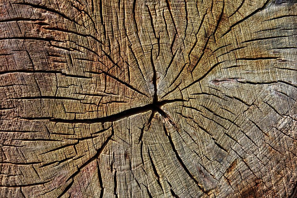 faktor penyebab kerusakan (retak) kayu