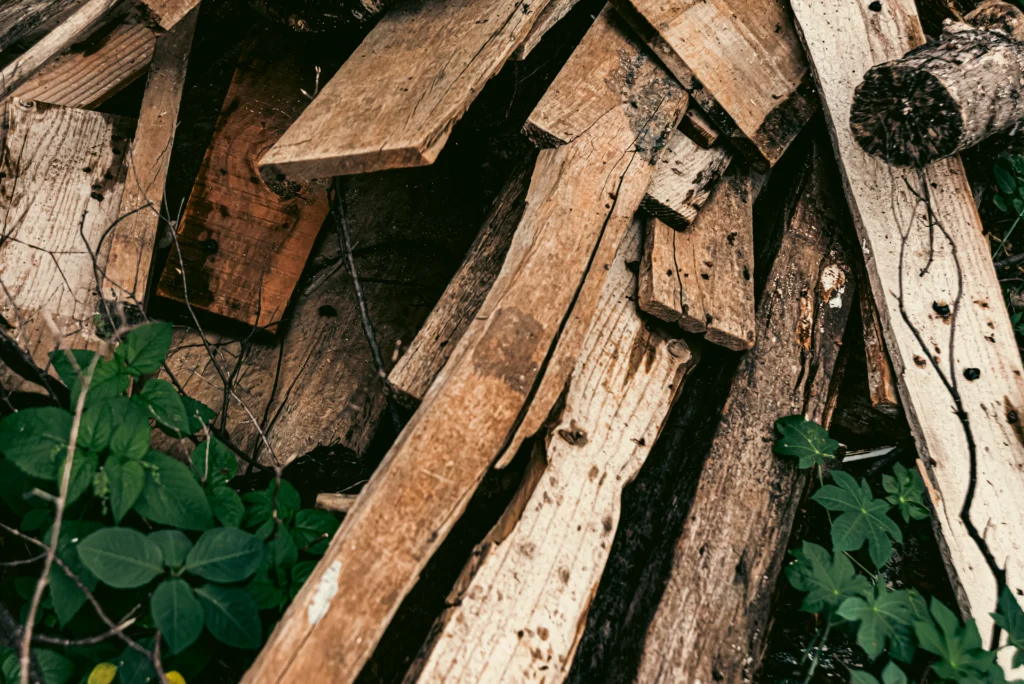 kerusakan kayu karena rayap